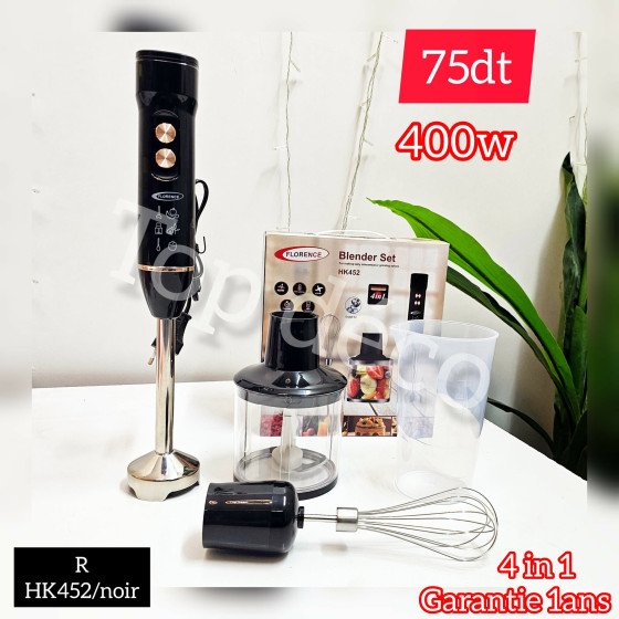 Mixeur plongeant noir 4 en 1 Florence – modèle HK-452 (400 W)