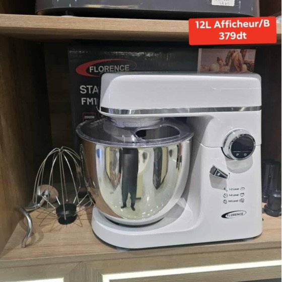 Pétrin Professionnel Florence 12L