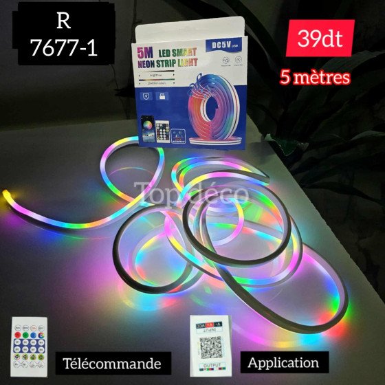 Néon LED RGB IC – 5 mètres