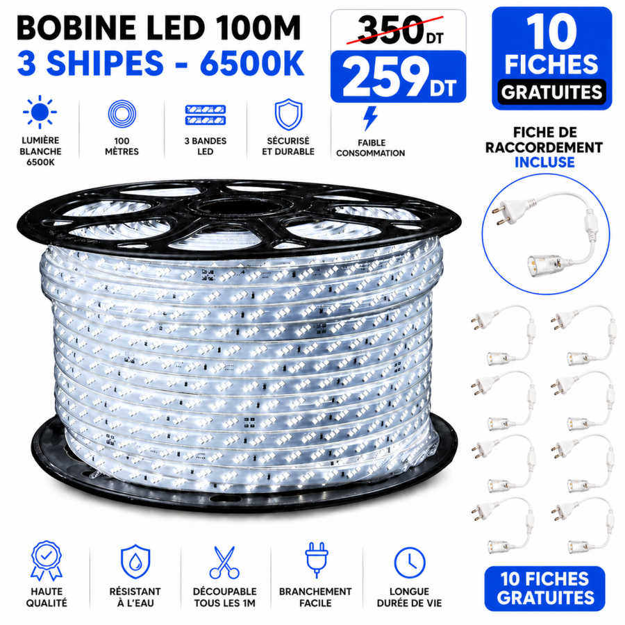 Bobine LED 100 mètres – 3 ships - Blanc 6500k