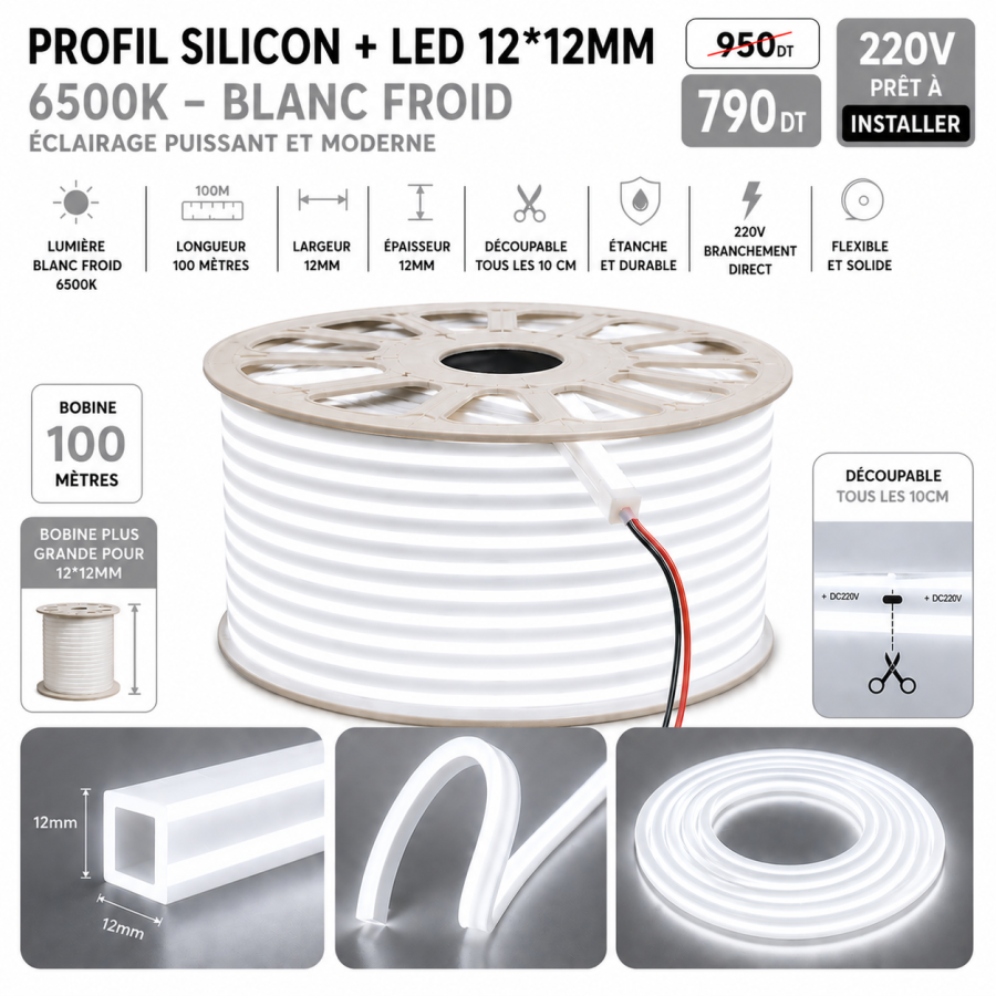 Néon Flex LED 12×12mm – 100 mètres – 6500K