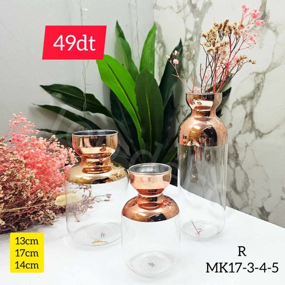 Lot de 3 Vases en Verre Transparent avec Finition Bronze